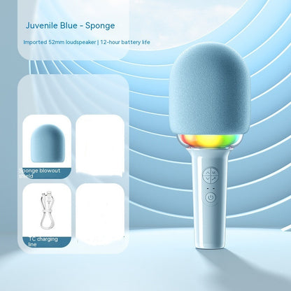 Wireless Bluetooth Home Entertainment Sound Box